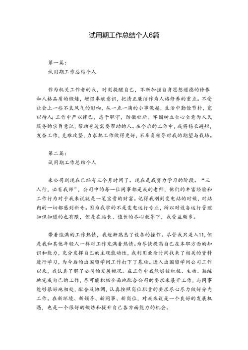 试用期工作总结个人6篇.docx