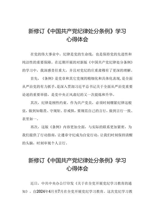 2024版新修订中国共产党纪律处分条例研讨发言材料十篇.docx