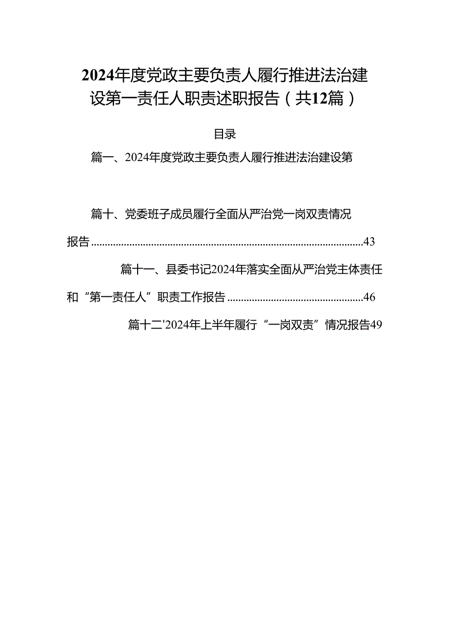 2024党政主要负责人履行推进法治建设第一责任人职责述职报告12篇供参考.docx_第1页
