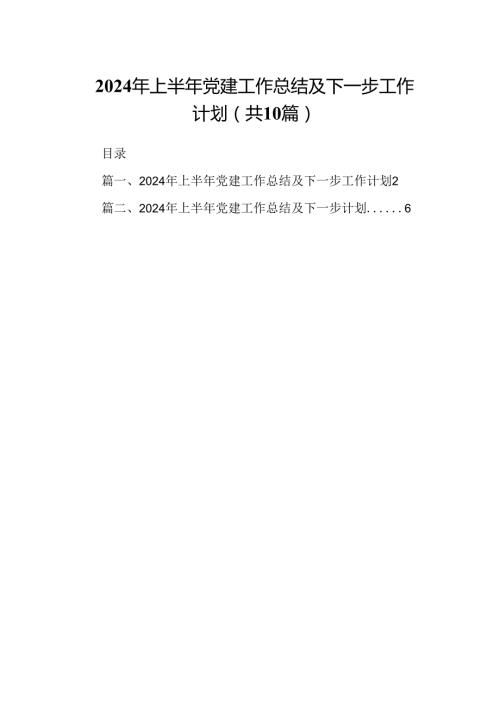 2024年上半年党建工作总结及下一步工作计划十篇（精选）.docx