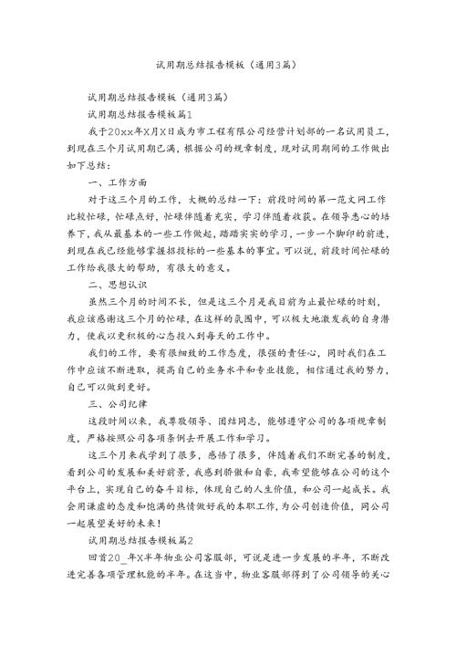 试用期总结报告模板（通用3篇）.docx