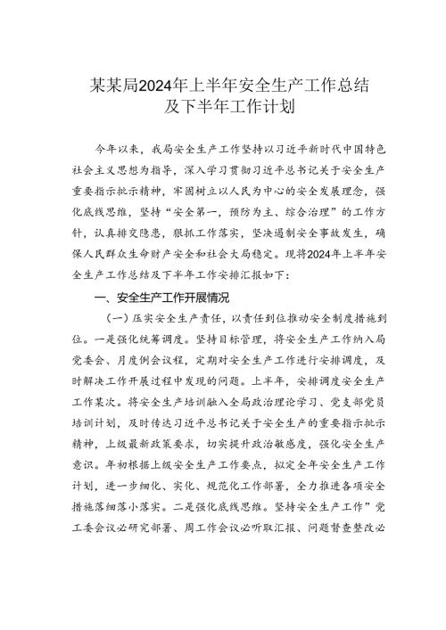 某某局2024年上半年安全生产工作总结及下半年工作计划.docx
