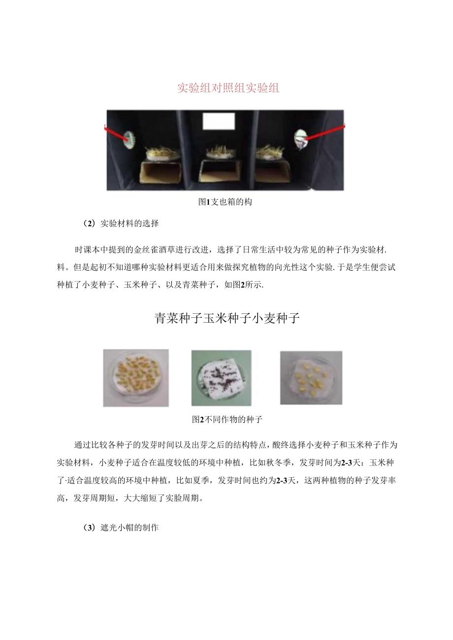 “探究植物的向光性”实验教学探讨 论文.docx_第3页