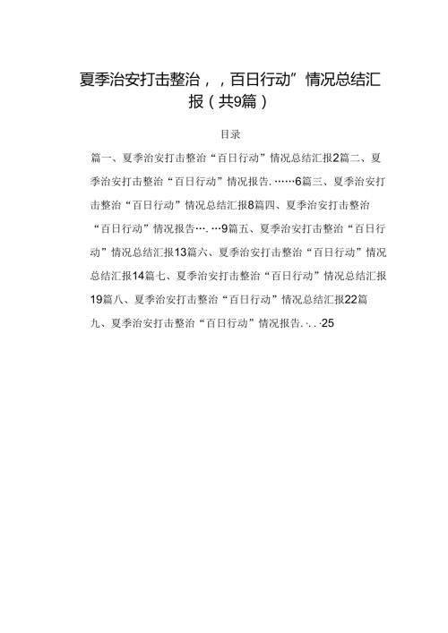 夏季治安打击整治“百日行动”情况总结汇报【九篇精选】供参考.docx