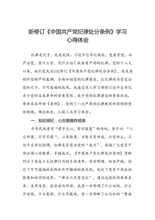 2024新修订中国共产党纪律处分条例理论读书班心得体会交流发言十九篇.docx