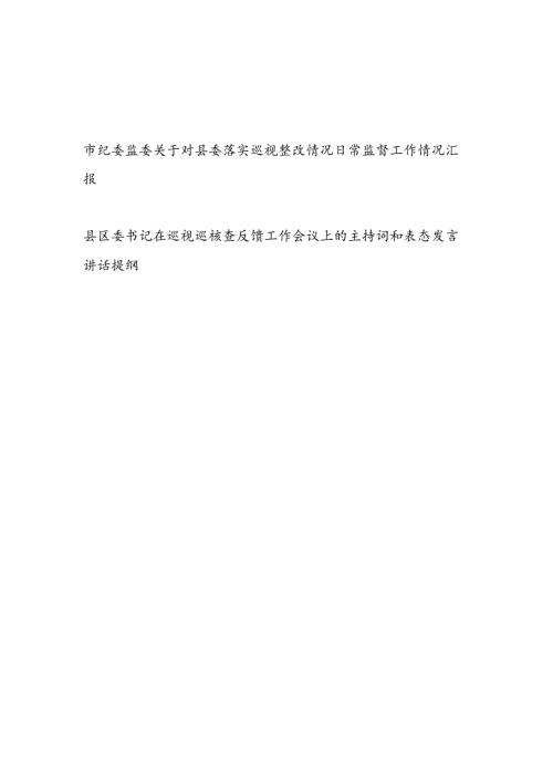 市纪委监委关于对县委落实巡视整改情况日常监督工作情况汇报和县区委书记在巡视巡核查反馈工作会议上的主持词和表态发言讲话提纲.docx