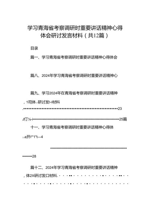 【12篇】2024学习青海省考察调研时重要讲话精神心得体会研讨发言材料.docx