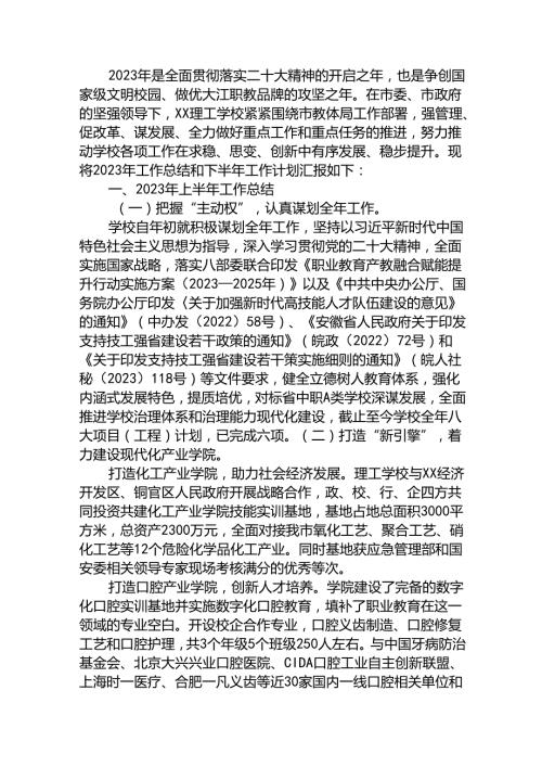 高校2023年上半年工作总结及下半年工作计划.docx