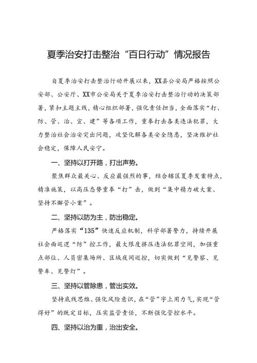 2024公安“夏季治安打击整治行动”情况报告13篇.docx