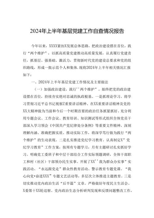 2024年上半年基层党建工作自查情况报告.docx