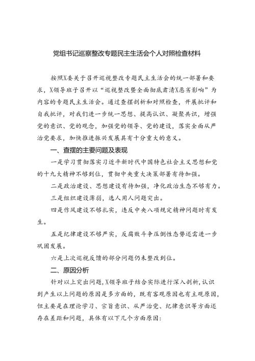 （10篇）党组书记巡察整改专题民主生活会个人对照检查材料参考范文.docx