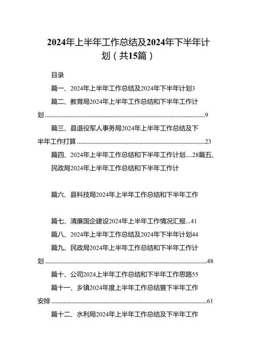 2024年上半年工作总结及年下半年计划15篇供参考.docx