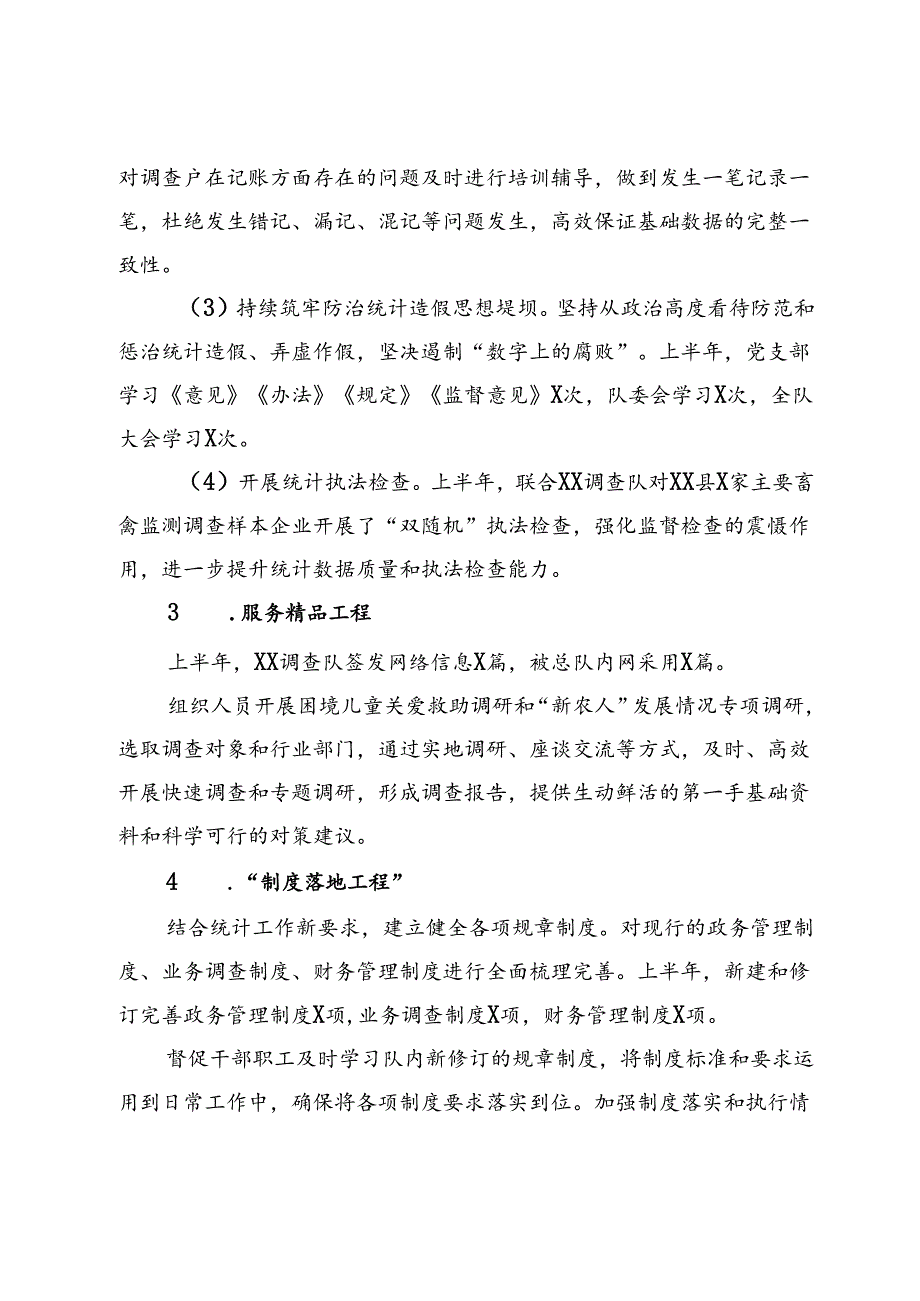 国家统计局XX调查队2024年上半年工作总结.docx_第3页