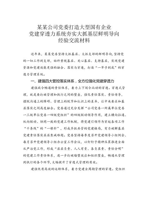 某某公司党委打造大型国有企业党建穿透力系统夯实大抓基层鲜明导向经验交流材料.docx