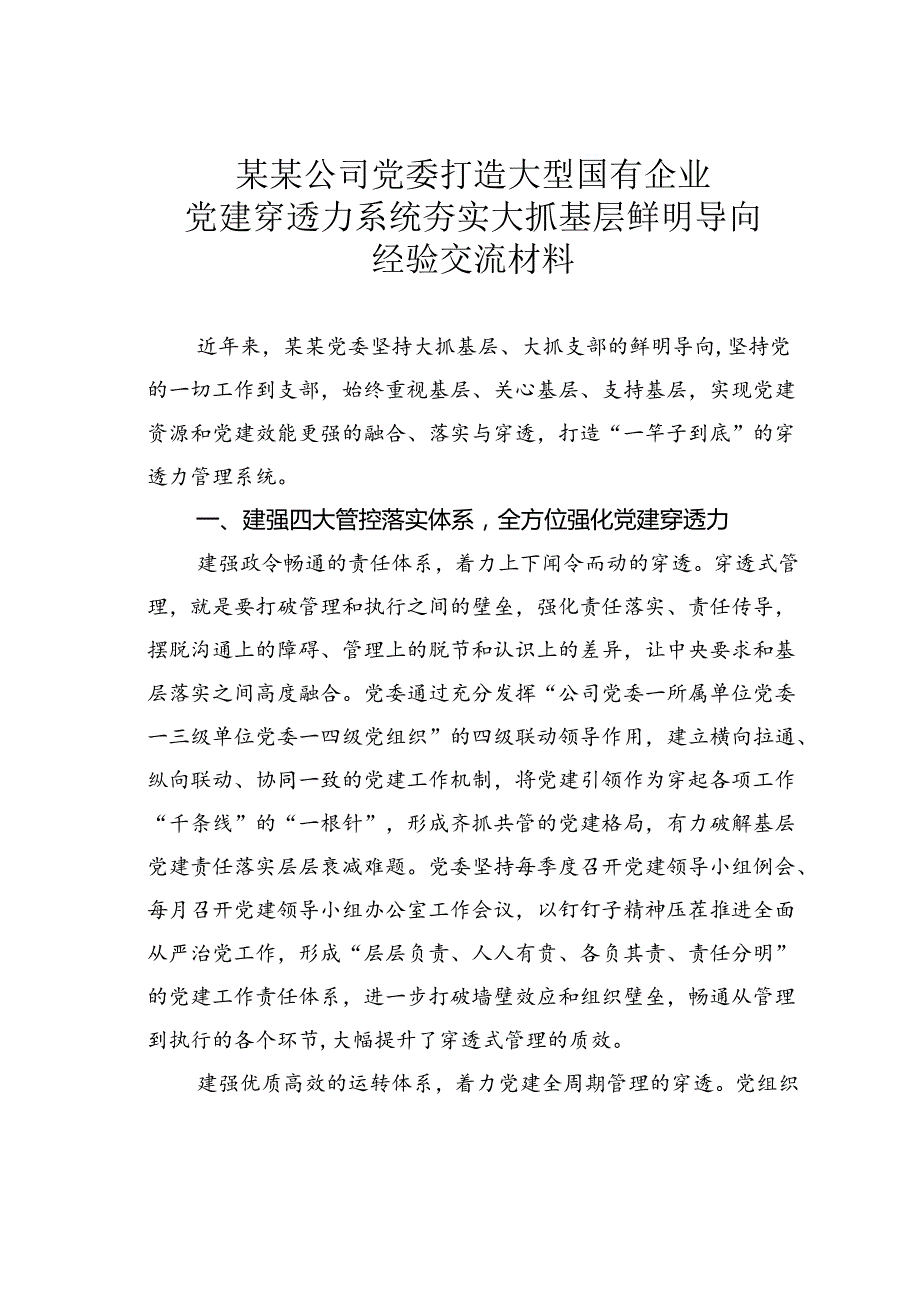 某某公司党委打造大型国有企业党建穿透力系统夯实大抓基层鲜明导向经验交流材料.docx_第1页