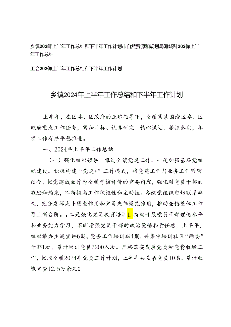 3篇 2024年上半年工作总结和下半年工作计划（乡镇、自然资源和规划局、工会）.docx_第1页