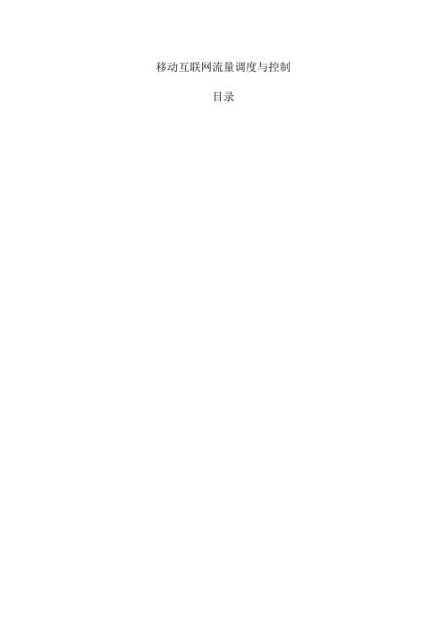 移动互联网流量调度与控制.docx