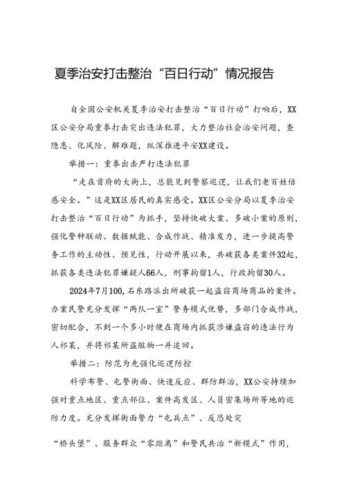 2024夏季治安打击整治“百日行动”工作总结8篇.docx