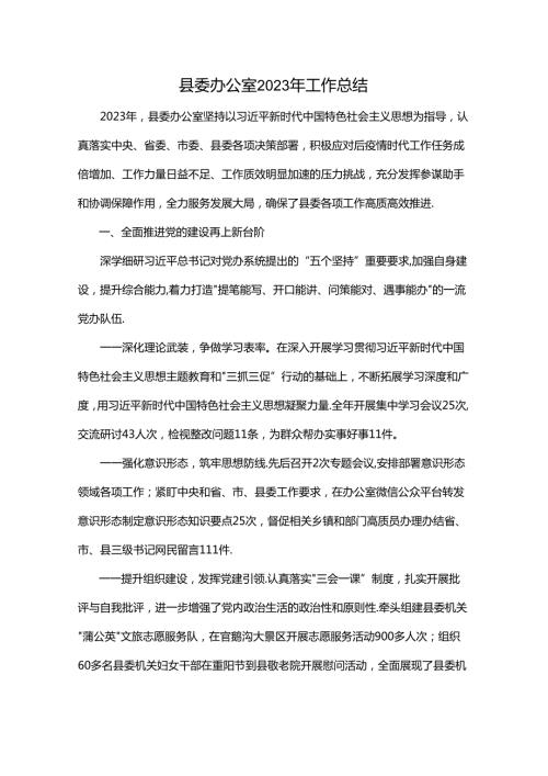 县委办公室2023年工作总结.docx