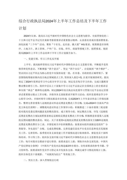 综合行政执法局2024年上半年工作总结及下半年工作计划.docx