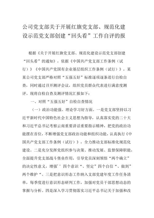 公司党支部关于开展红旗党支部、规范化建设示范党支部创建“回头看”工作自评的报告.docx