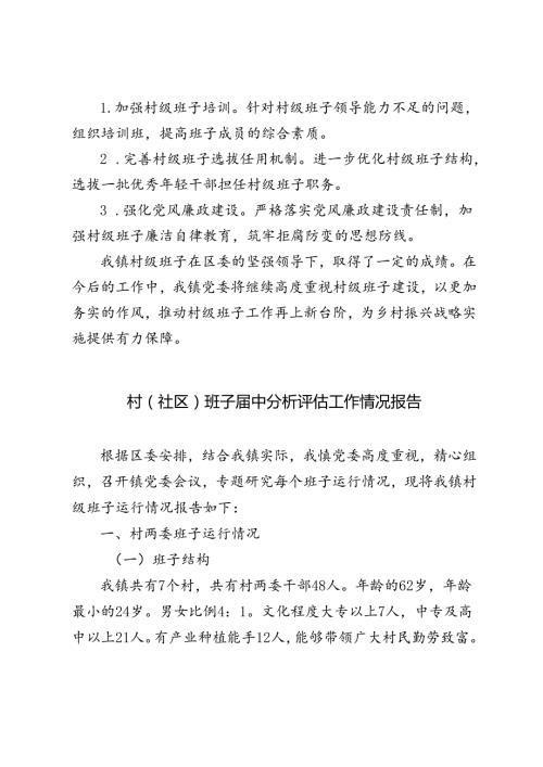 4篇 2024年村（社区）班子中分析评估工作情况报告.docx