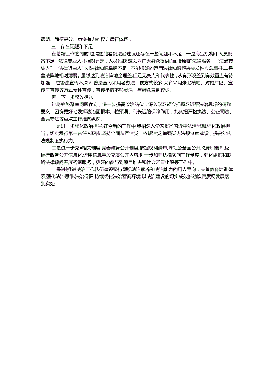 镇党委书记2024上半年履行推进法治建设第一责任人职责述职报告.docx_第2页
