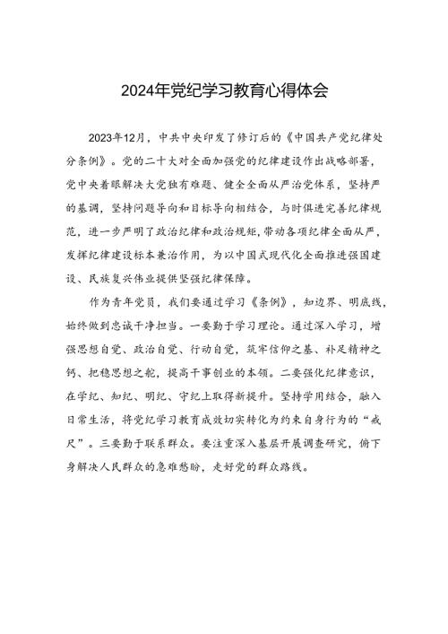 青年党员2024年党纪学习教育心得体会十篇.docx