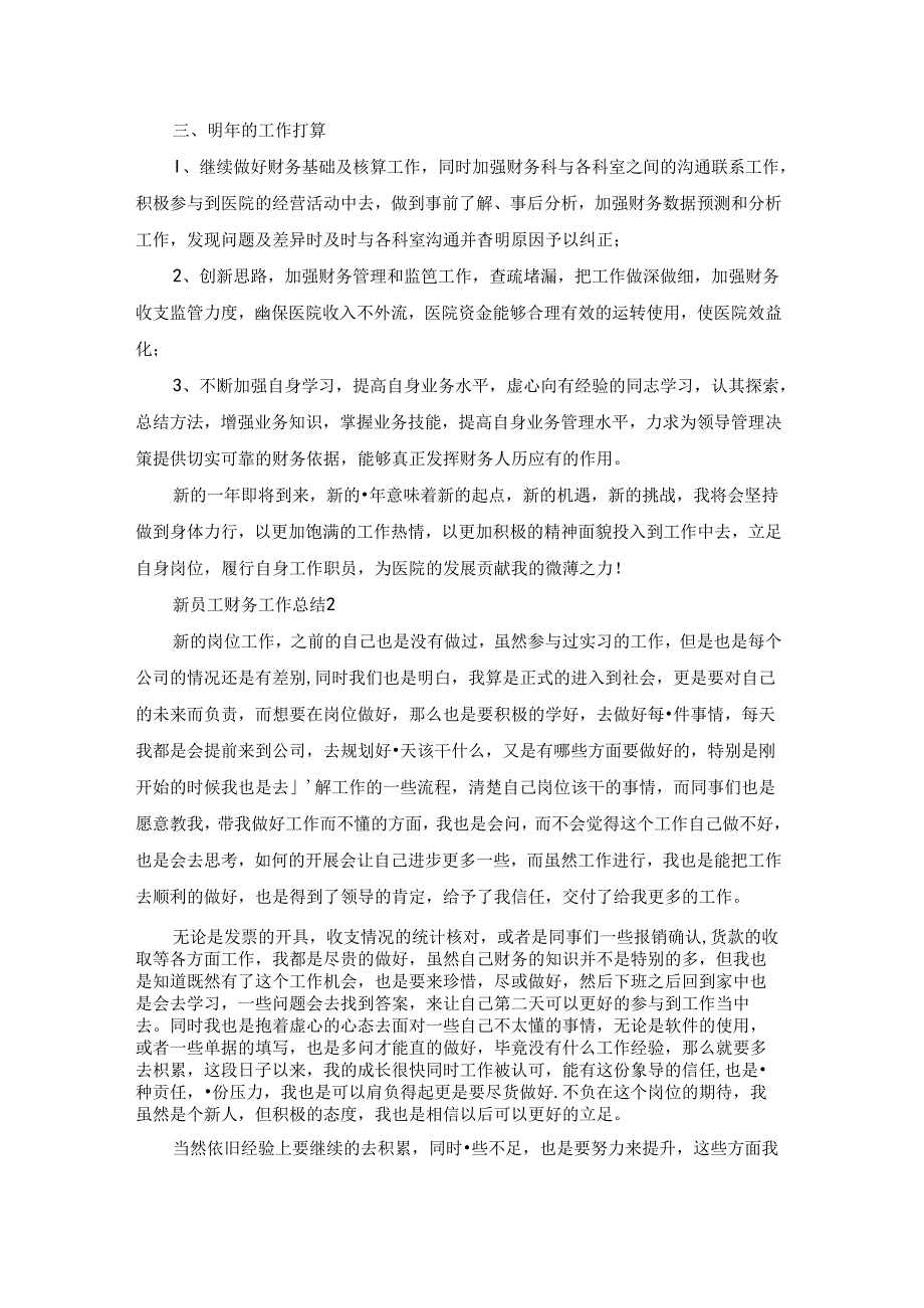 新员工财务工作总结.docx_第2页
