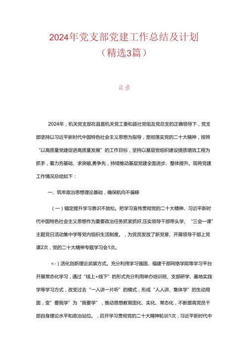 2024年党支部党建工作总结及计划.docx