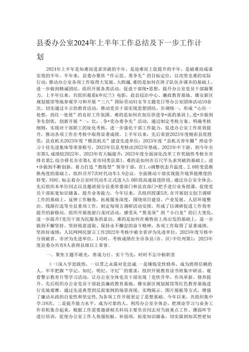 县委办公室2024年上半年工作总结及下一步工作计划.docx