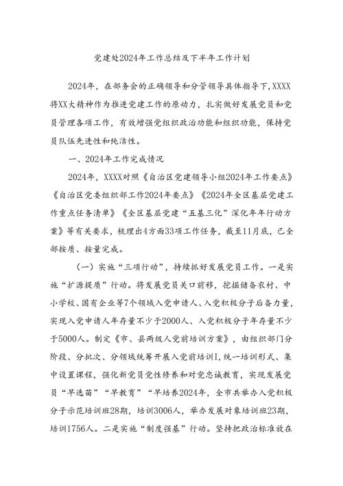 党建处2024年工作总结及下半年工作计划.docx