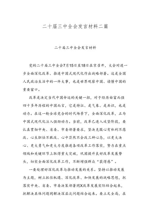 二十三中全会发言材料二篇.docx