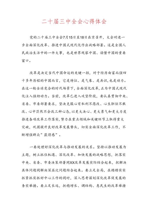 二十三中全会心得体会.docx