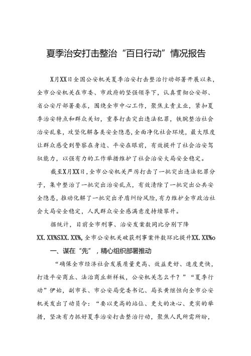 2024年公安机关夏季治安打击整治行动情况报告13篇.docx