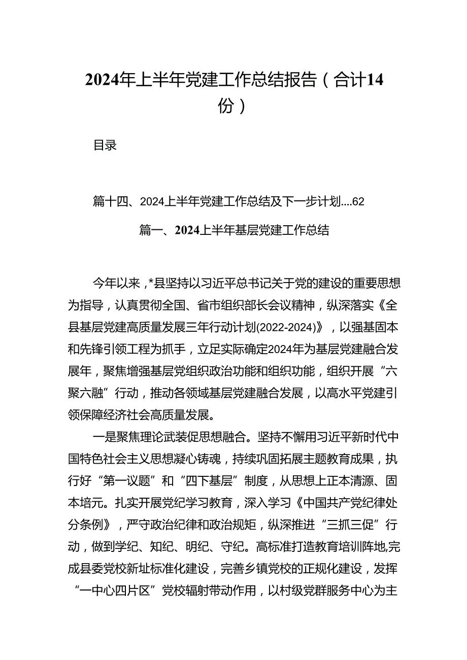 2024年上半年党建工作总结报告（合计14份）.docx_第1页