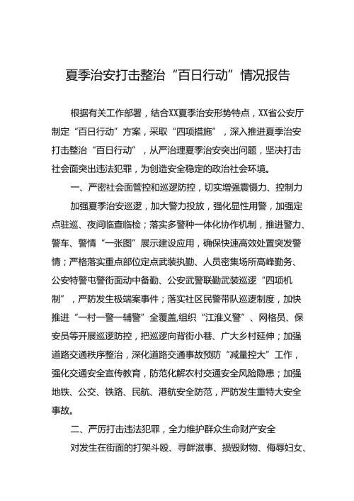 公安推进夏季治安打击整治“百日行动”总结8篇.docx