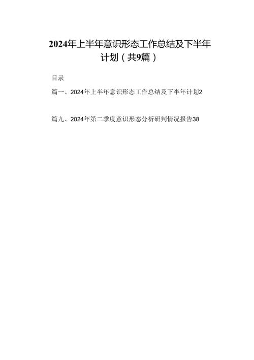 2024年上半年意识形态工作总结及下半年计划9篇（详细版）.docx
