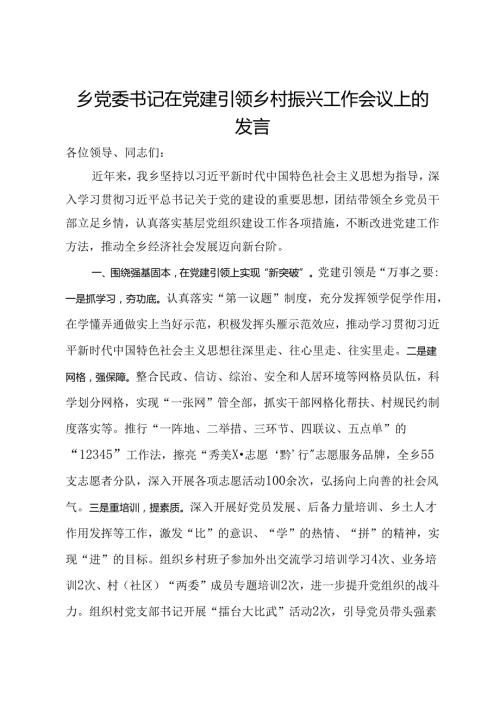 乡党委书记在党建引领乡村振兴工作会议上的发言.docx