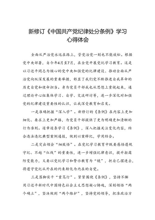 2024新修订中国共产党纪律处分条例六项纪律研讨发言心得体会八篇.docx
