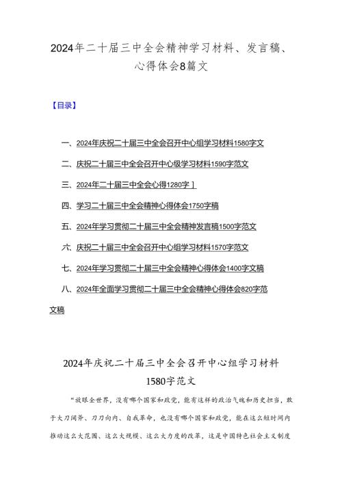 2024年二十三中全会精神学习材料、发言稿、心得体会8篇文.docx