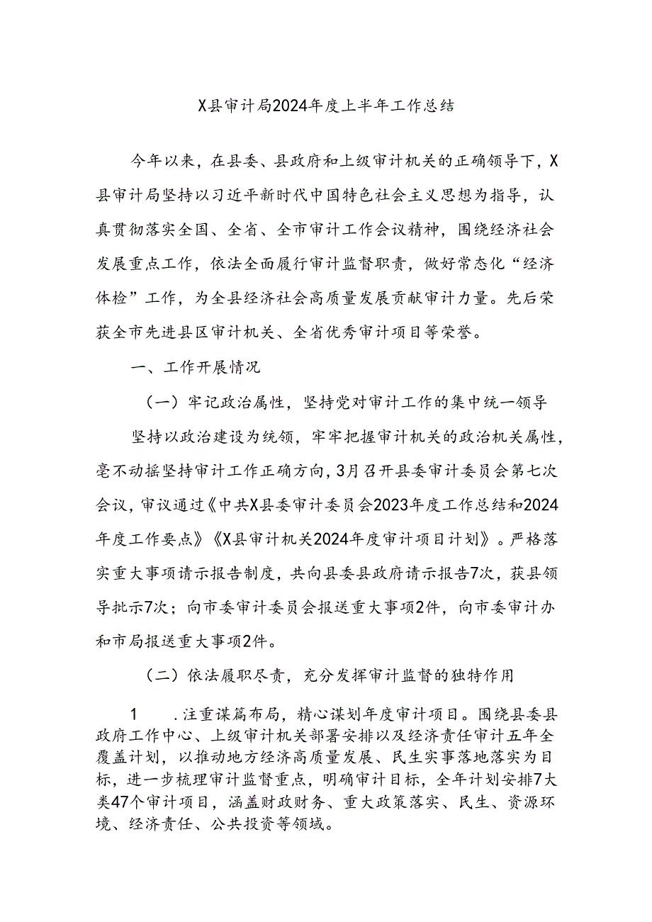 X县审计局2024上半年工作总结.docx_第1页