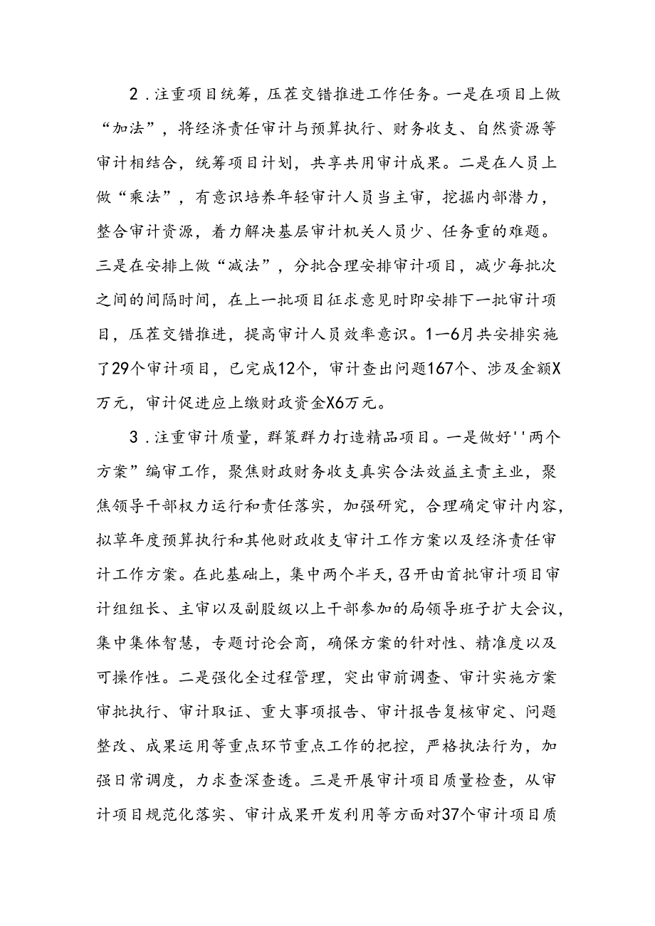 X县审计局2024上半年工作总结.docx_第2页
