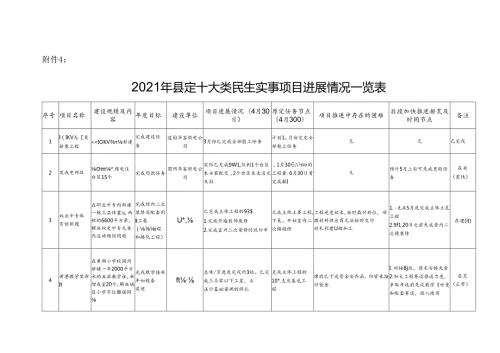 2021年县定十大民生实事项目进展情况一览表.docx