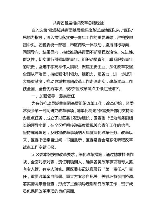 共青团基层组织改革总结经验.docx