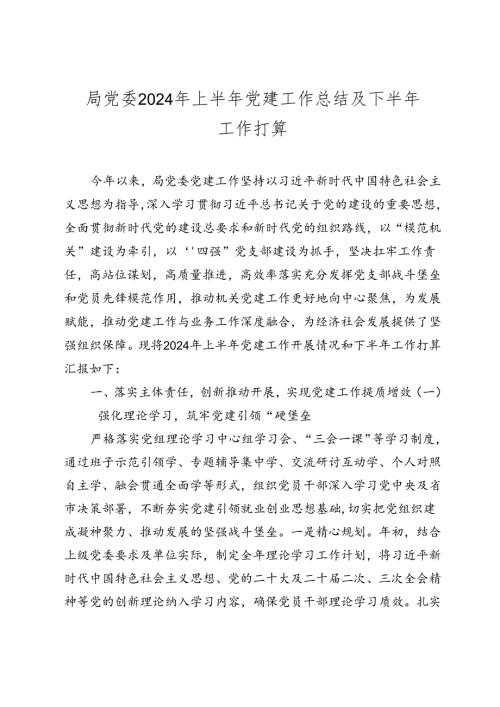 局党委2024年上半年党建工作总结及下半年工作打算2025.docx