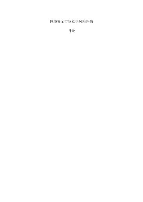 网络安全市场竞争风险评估.docx