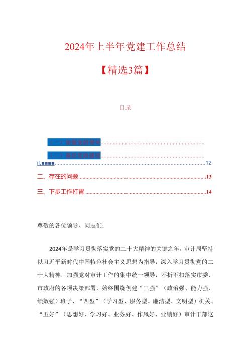 2024 年上半年党建工作总结.docx