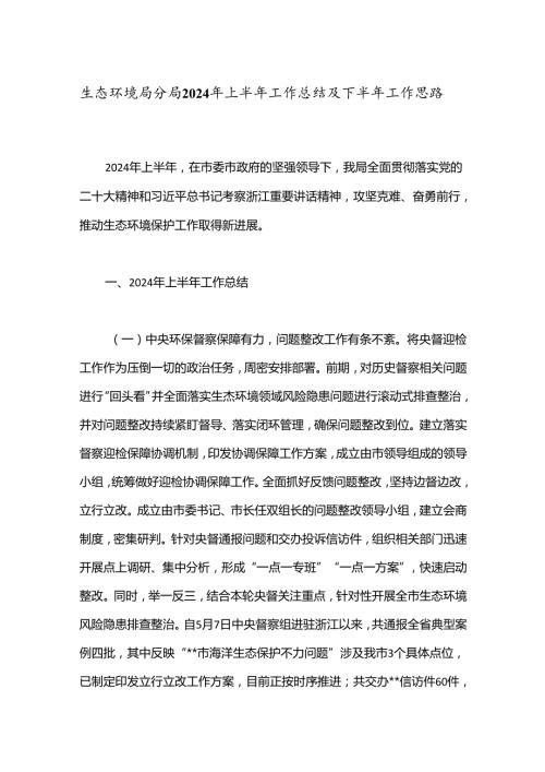 生态环境局分局2024年上半年工作总结及下半年工作思路.docx