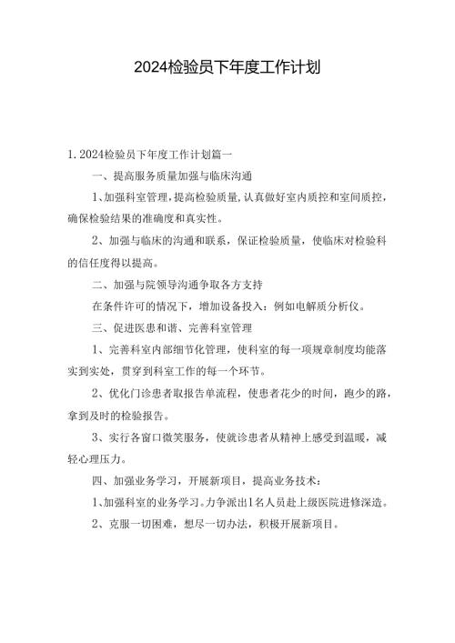 2024检验员下工作计划.docx